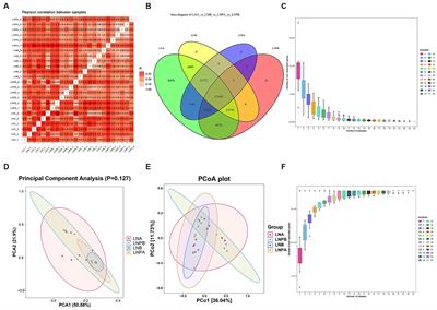 Synbiotic regulates gut microbiota in patients with lupus nephritis: an analysis using metagenomic and metabolome sequencing